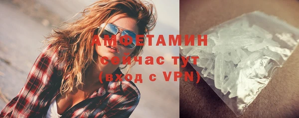 индика Дмитровск