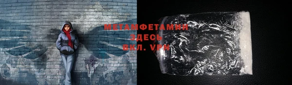 индика Дмитровск