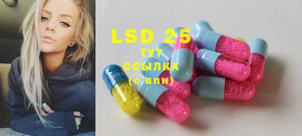 индика Дмитровск