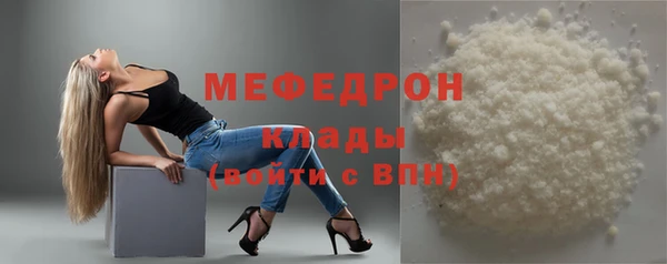 индика Дмитровск