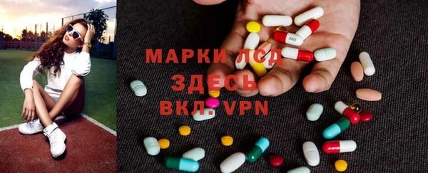 индика Дмитровск