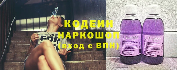 индика Дмитровск