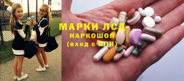 индика Дмитровск