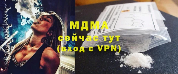 индика Дмитровск