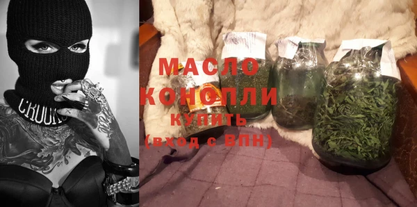 индика Дмитровск