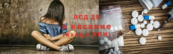 сатива Дмитров