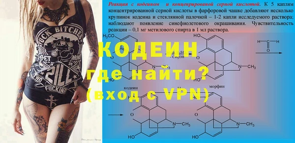 индика Дмитровск