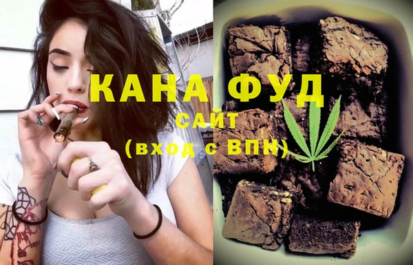 индика Дмитровск