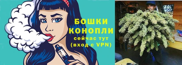 сатива Дмитров