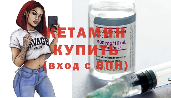 индика Дмитровск