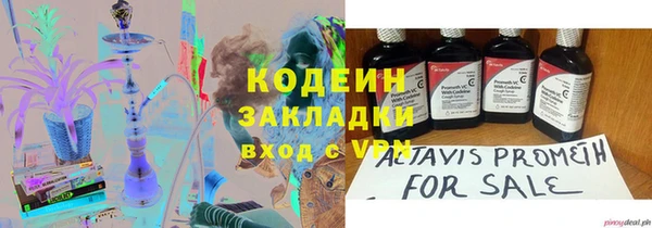 индика Дмитровск